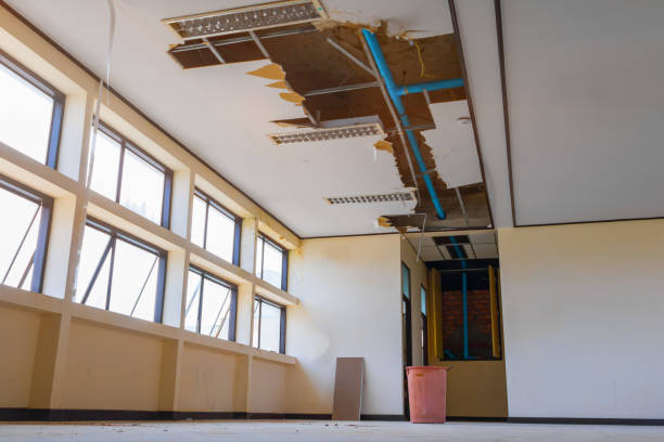 Best Water damage restoration mold remediation  in Oxford, OH