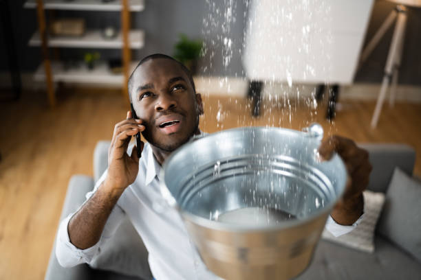 Best Mold removal after water damage  in Oxford, OH