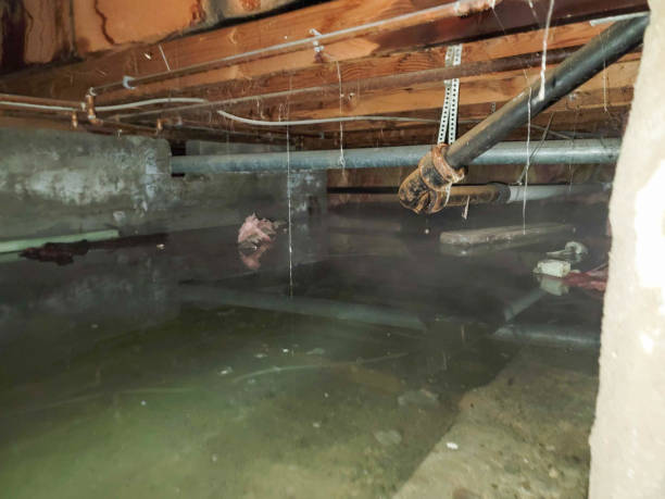 Best Emergency water damage restoration  in Oxford, OH