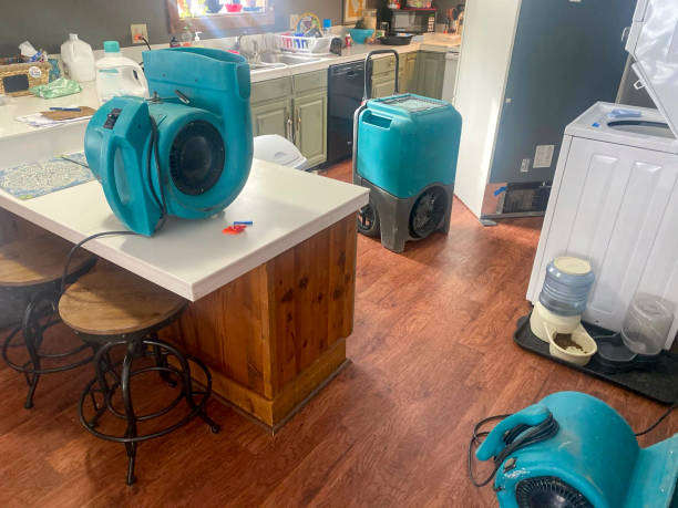 Best Water damage restoration near me  in Oxford, OH