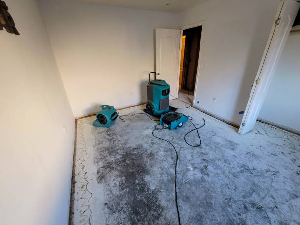 Best Local water damage restoration  in Oxford, OH