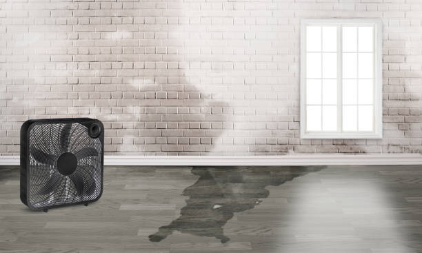 Best Water damage restoration insurance claims  in Oxford, OH