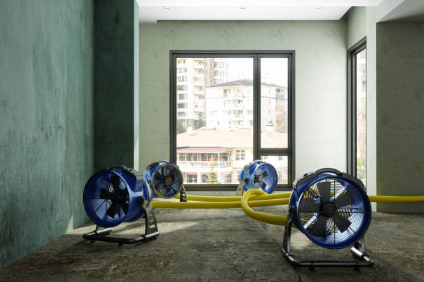  Oxford, OH Water damage restoration Pros