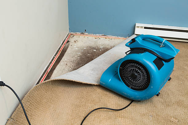 Best Flood restoration services  in Oxford, OH